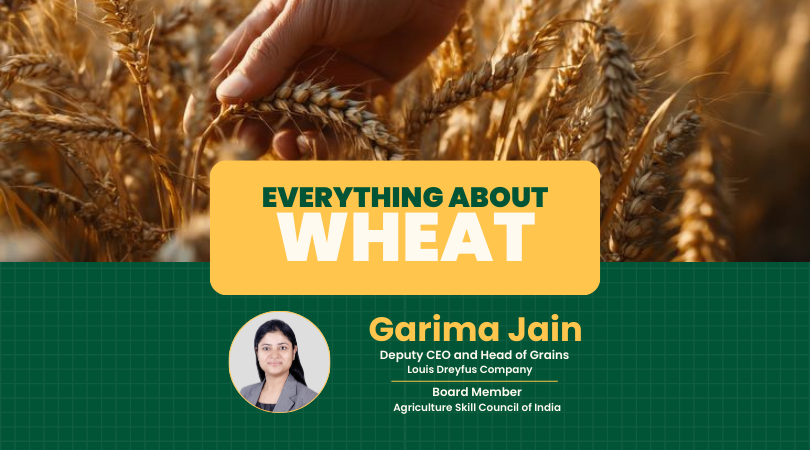 Everything about wheat