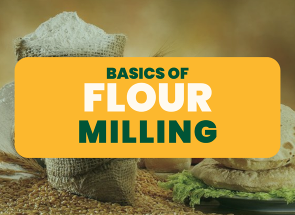 Basics of Flour Milling