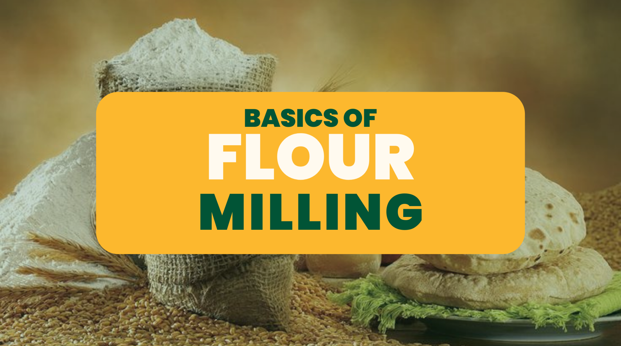 Basics of Flour Milling