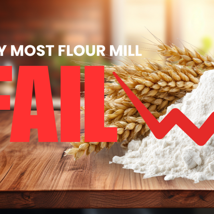 why most flour mill fail